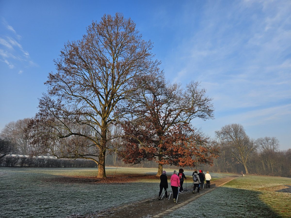 Locandina di Allenamento Nordic walking – Bosco in Città (MI)