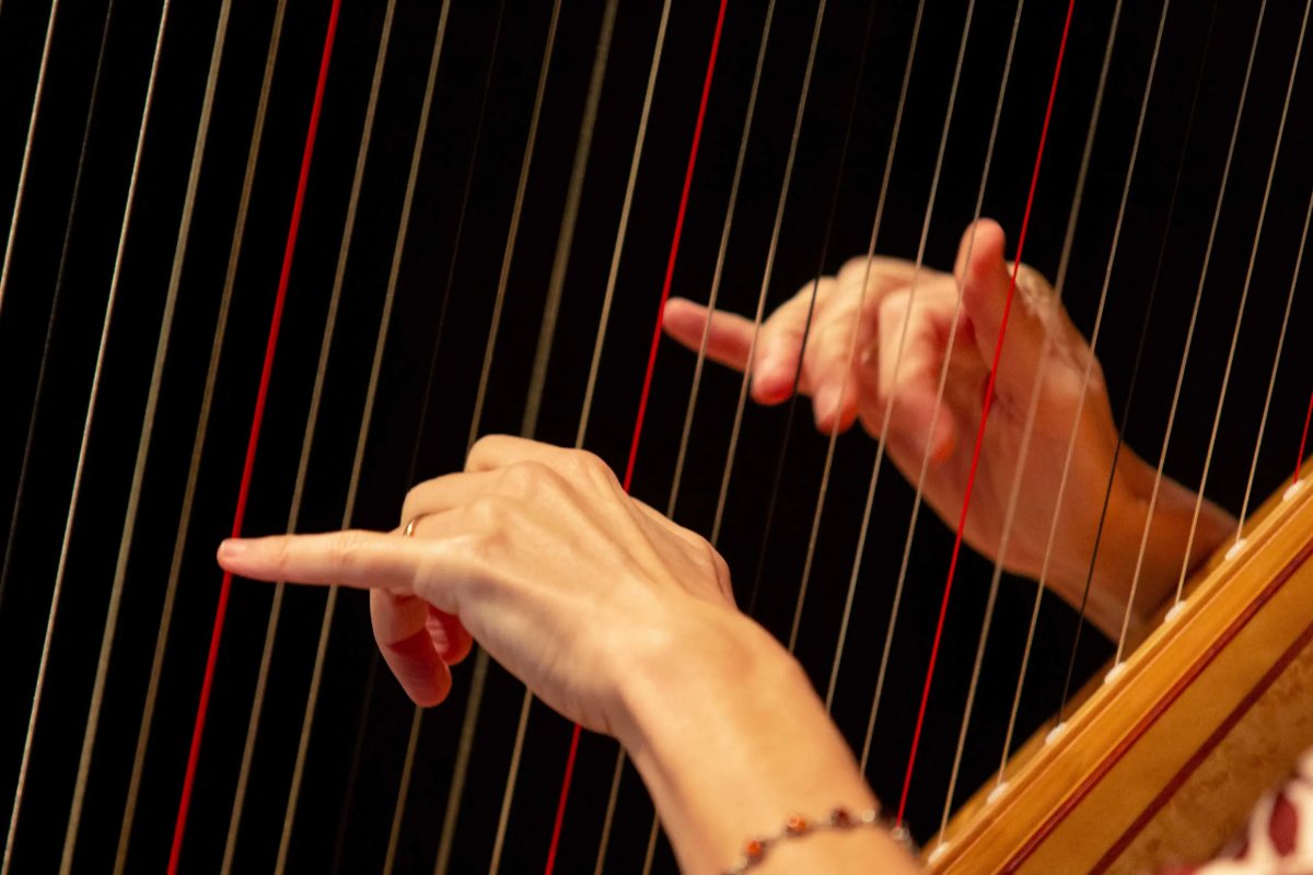 Locandina di Amore in musica