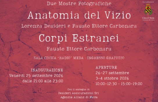 Locandina di Anatomia del Vizio