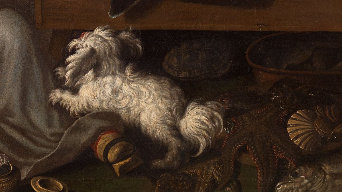 Locandina di Animali fantastici e dove trovarli