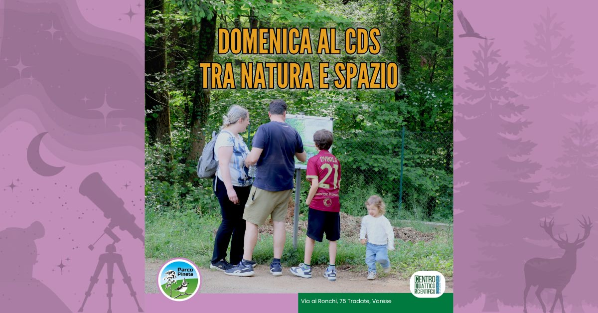 Locandina di Apertura del CDS