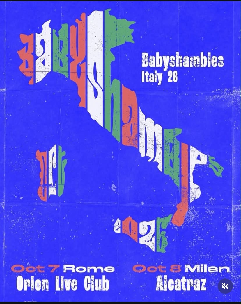 Locandina di BABYSHAMBLES