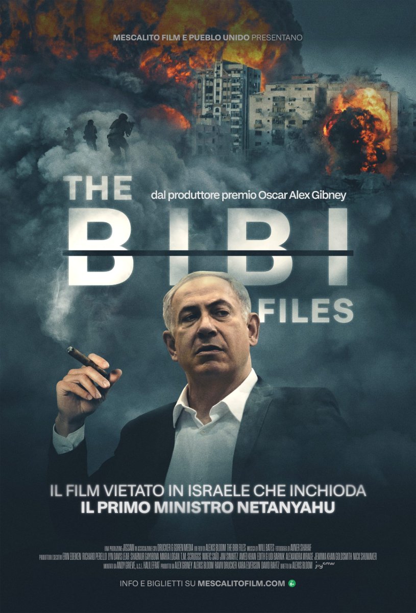 Locandina di BIBI FILES