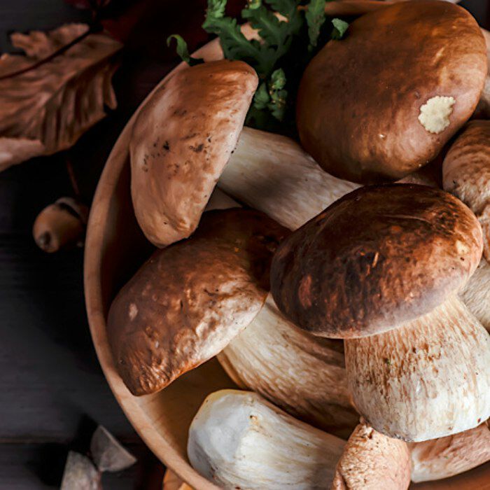 Locandina di CENA CON I FUNGHI PORCINI DI BORGOTARO