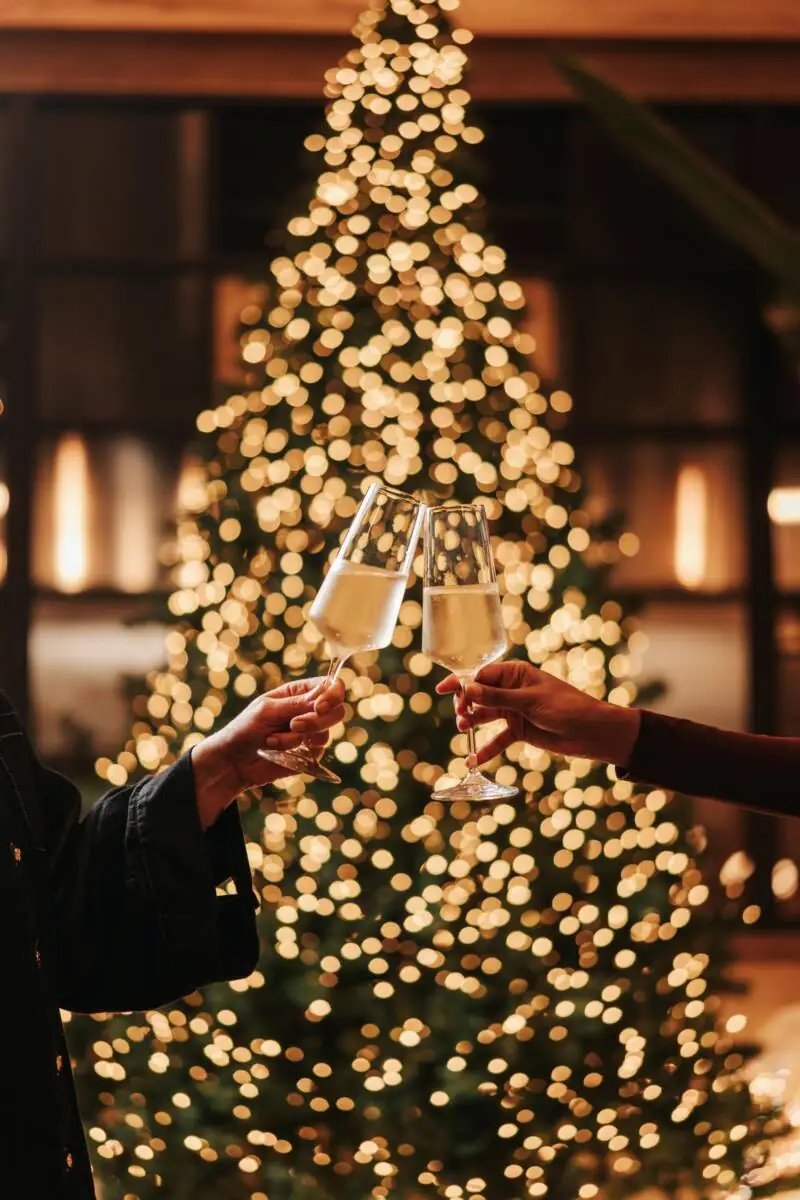 Locandina di Cenone di Capodanno nell’esclusivo giardino interno