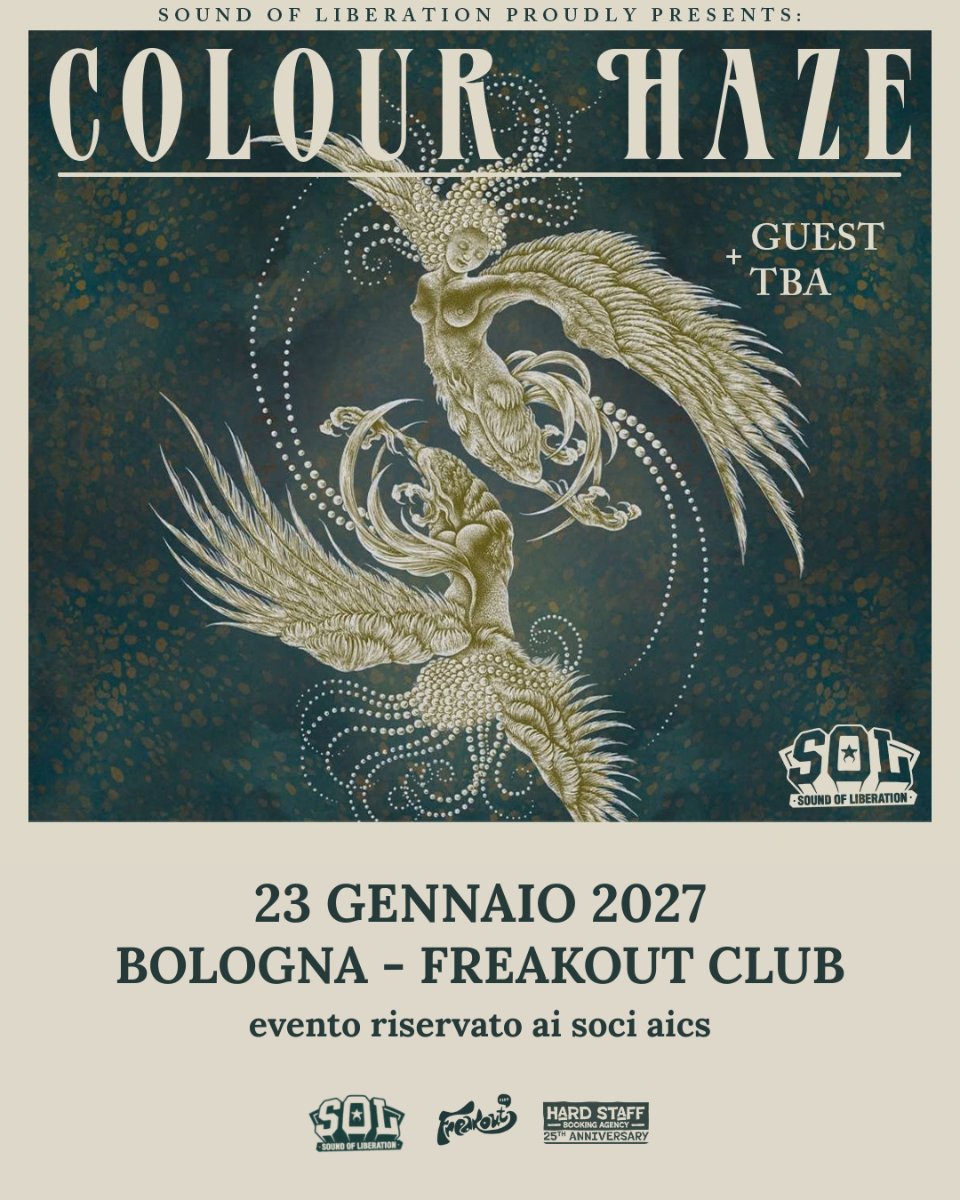 Locandina di Colour Haze