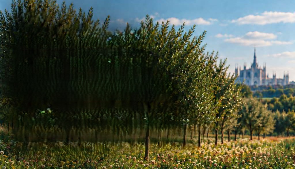 Locandina di Coltivare soluzioni per il clima. Il ruolo dell'agroforestazione nella rigenerazione dei territori