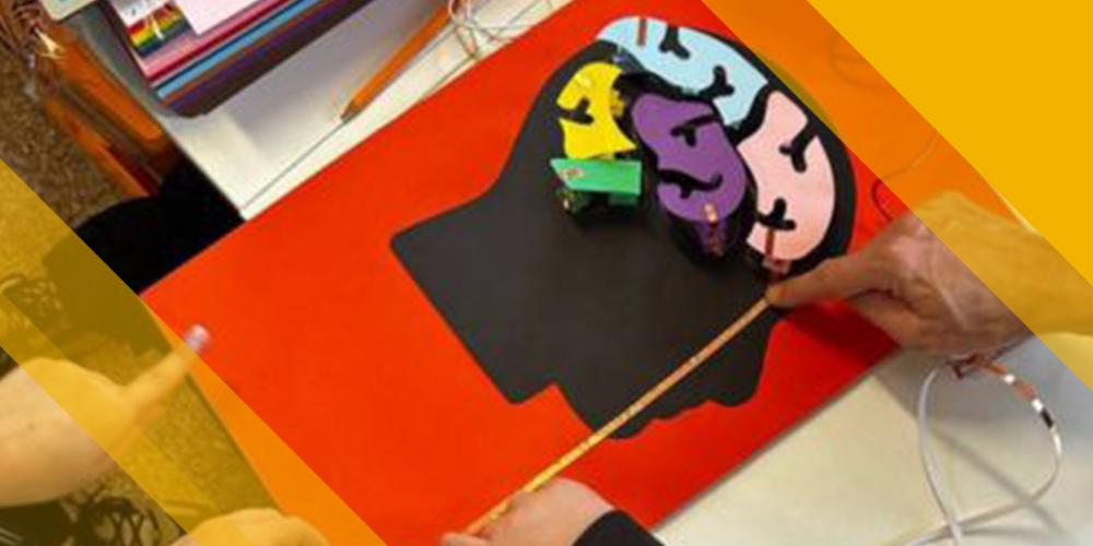 Locandina di Come funziona il cervello?