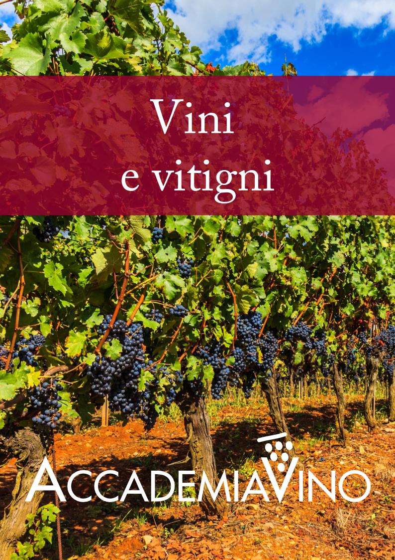 Locandina di Corso intermedio di degustazione e conoscenza del vino