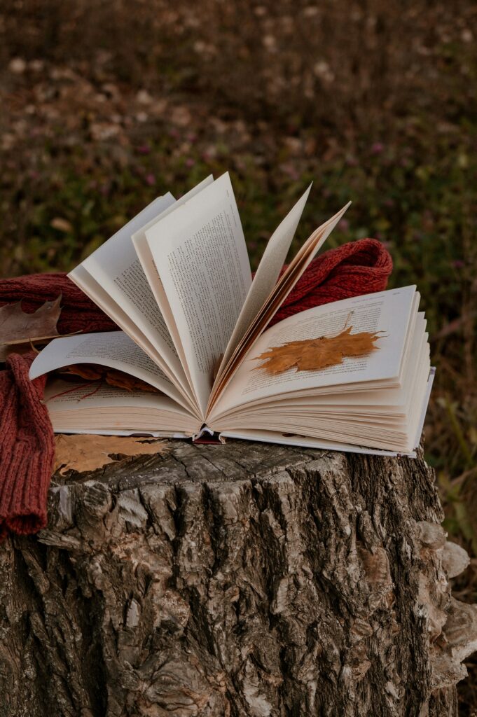 Locandina di Curarsi con i libri. La relazione con se stessi
