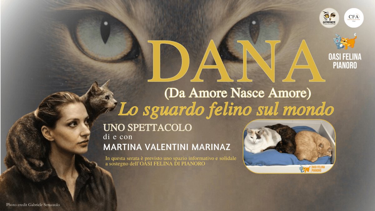 Locandina di Dana: Lo Sguardo Felino Sul Mondo
