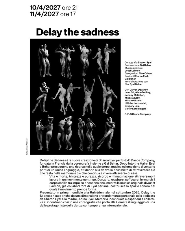 Locandina di Delay the Sadness