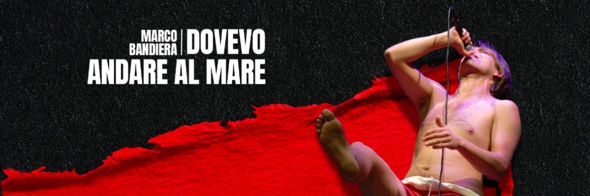 Locandina di Dovevo andare al mare