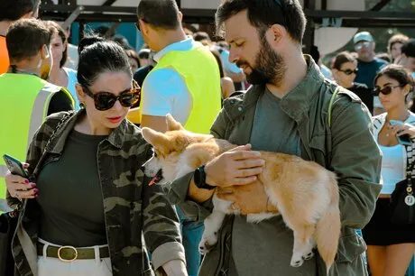 Locandina di East Market presenta Pet Market