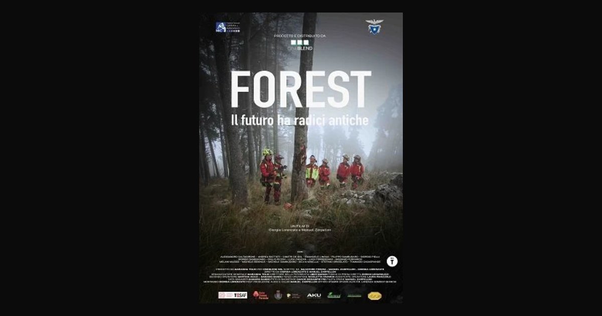 Locandina di Equilibri fragili vol.4 – Forest - Il futuro ha radici antiche