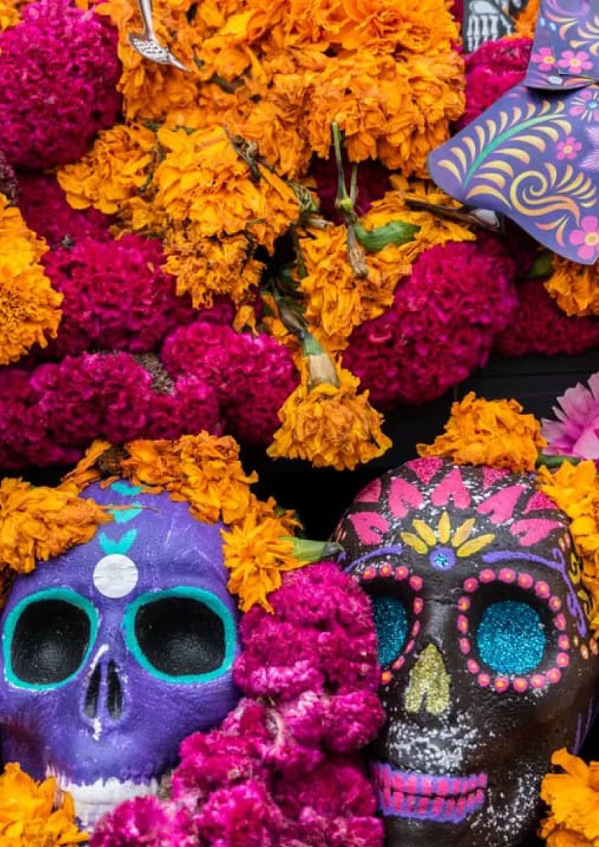 Locandina di Festa del Día de los Muertos