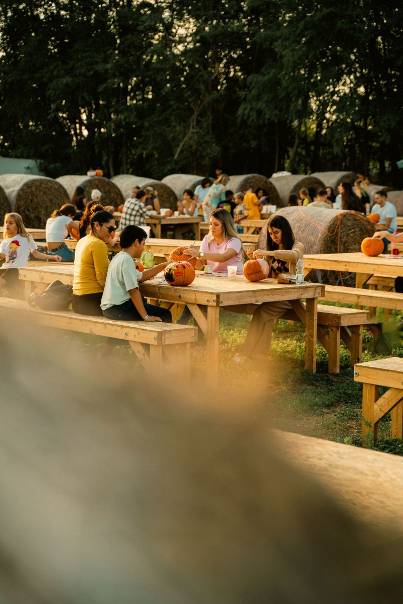 Locandina di Festival D’Autunno