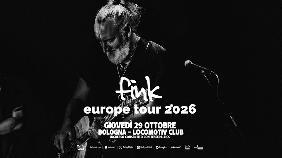 Locandina di Fink