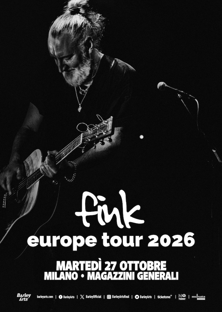 Locandina di Fink