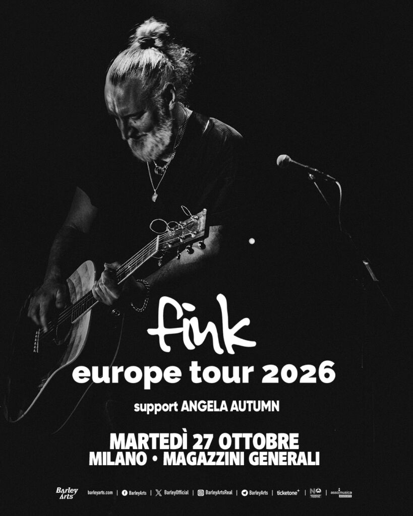 Locandina di FINK