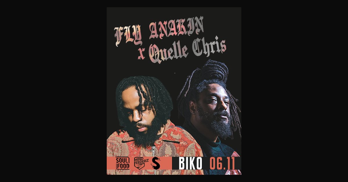 Locandina di Fly Anakin & Quelle Chris