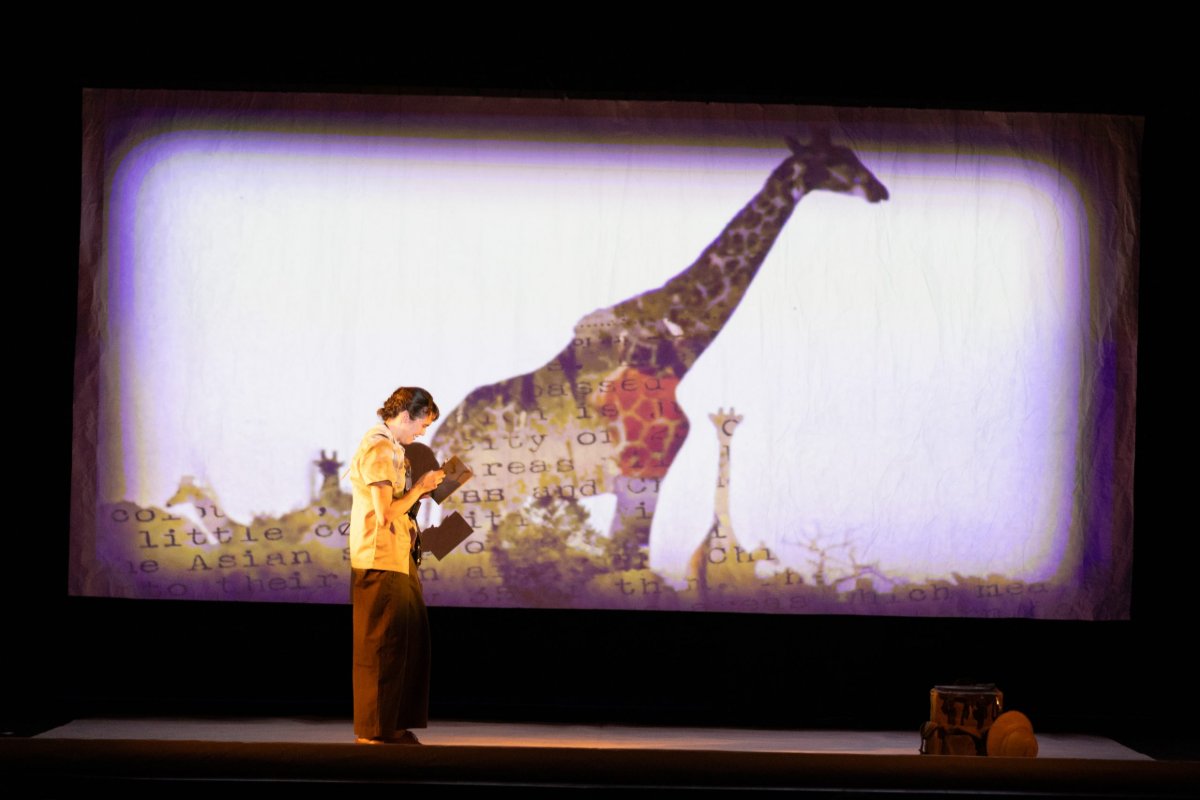 Locandina di GIRAFFE - Lʼincredibile storia della zoologa Anne Innis Dagg