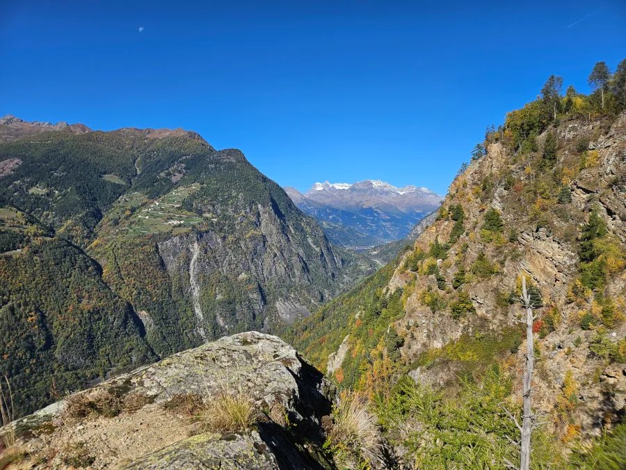 Locandina di Gita sociale no-oil 2 api al Sasso del Gallo in Valtellina