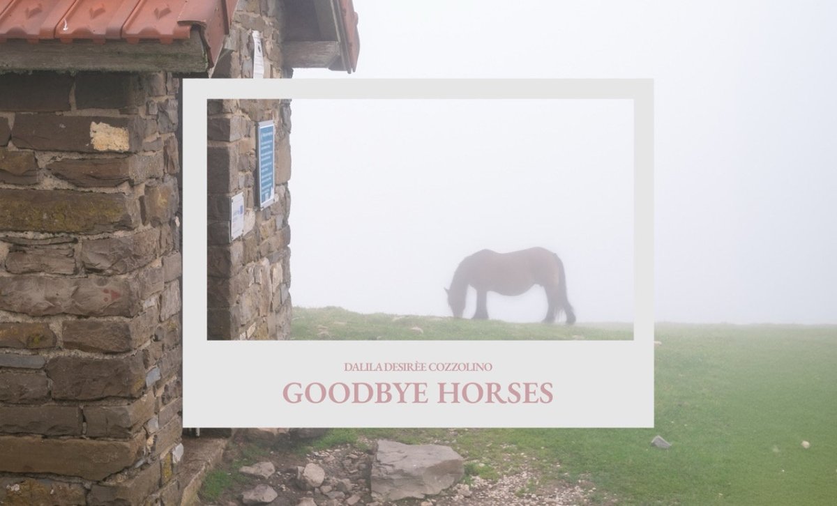 Locandina di Goodbye Horses