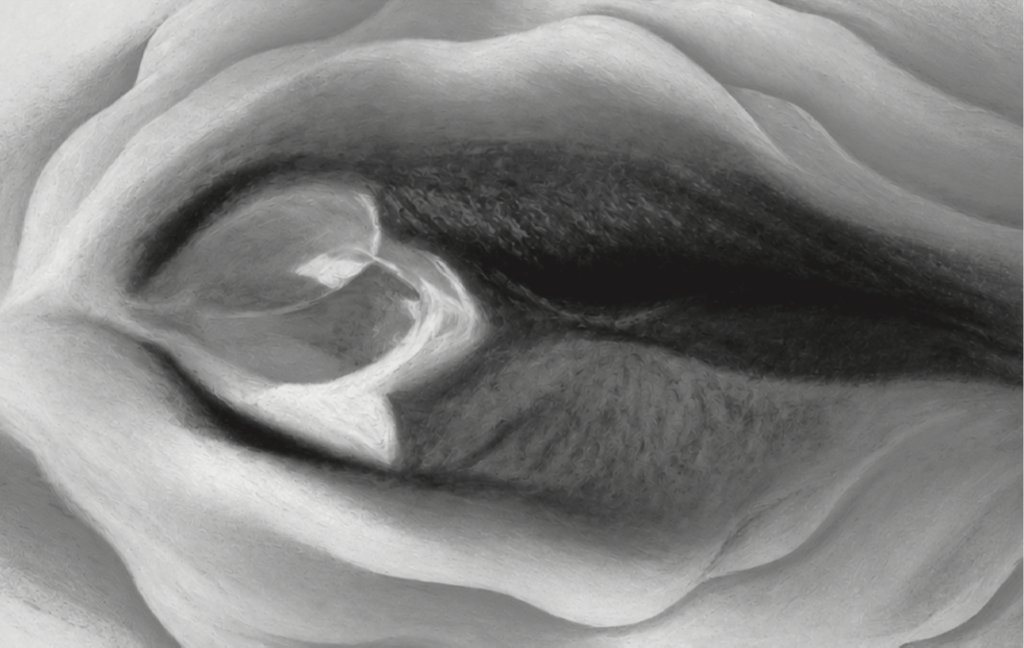 Locandina di I monologhi della vagina