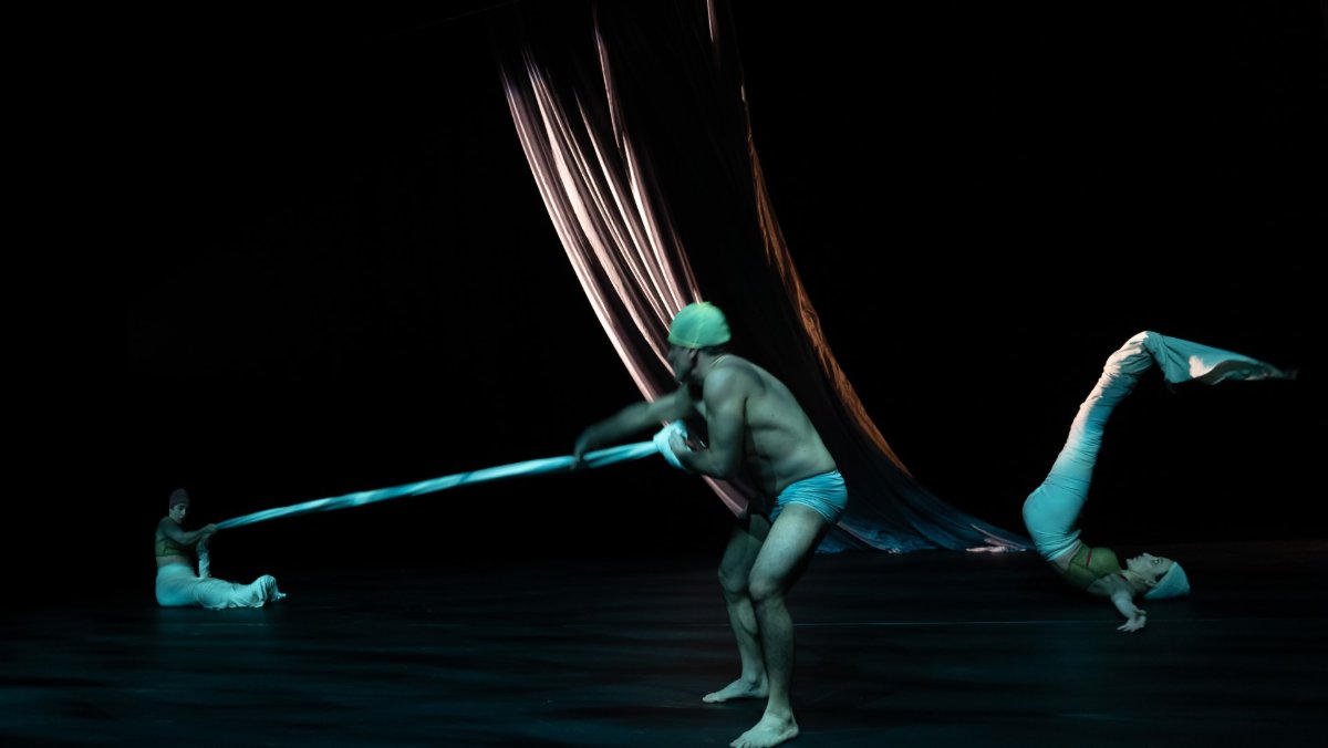 Locandina di Il canto della sirena