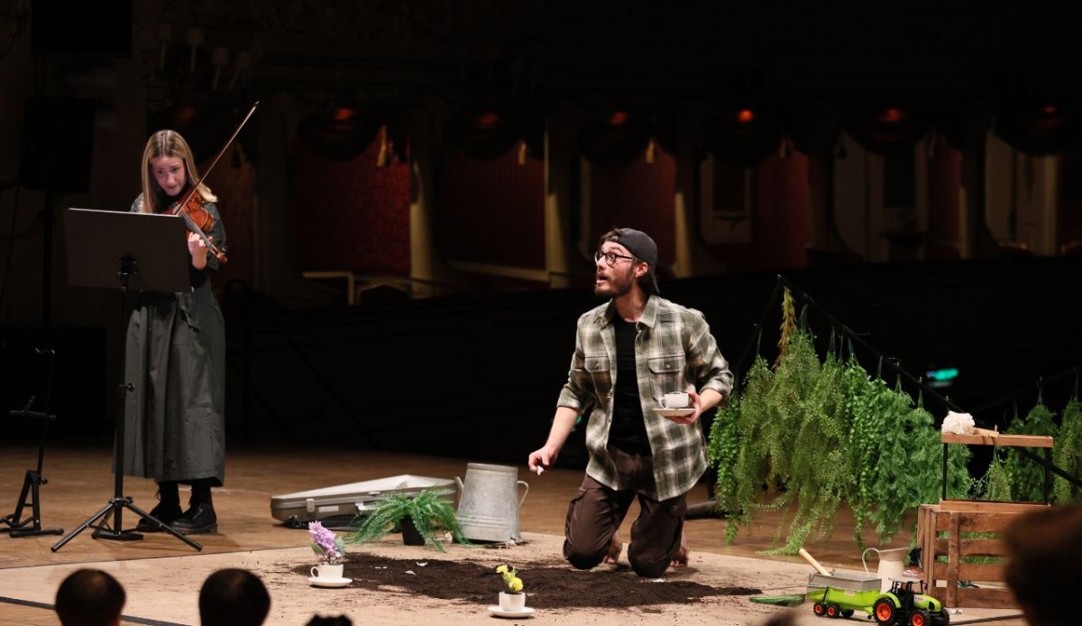Locandina di IL GIARDINO DI RIGOLETTO