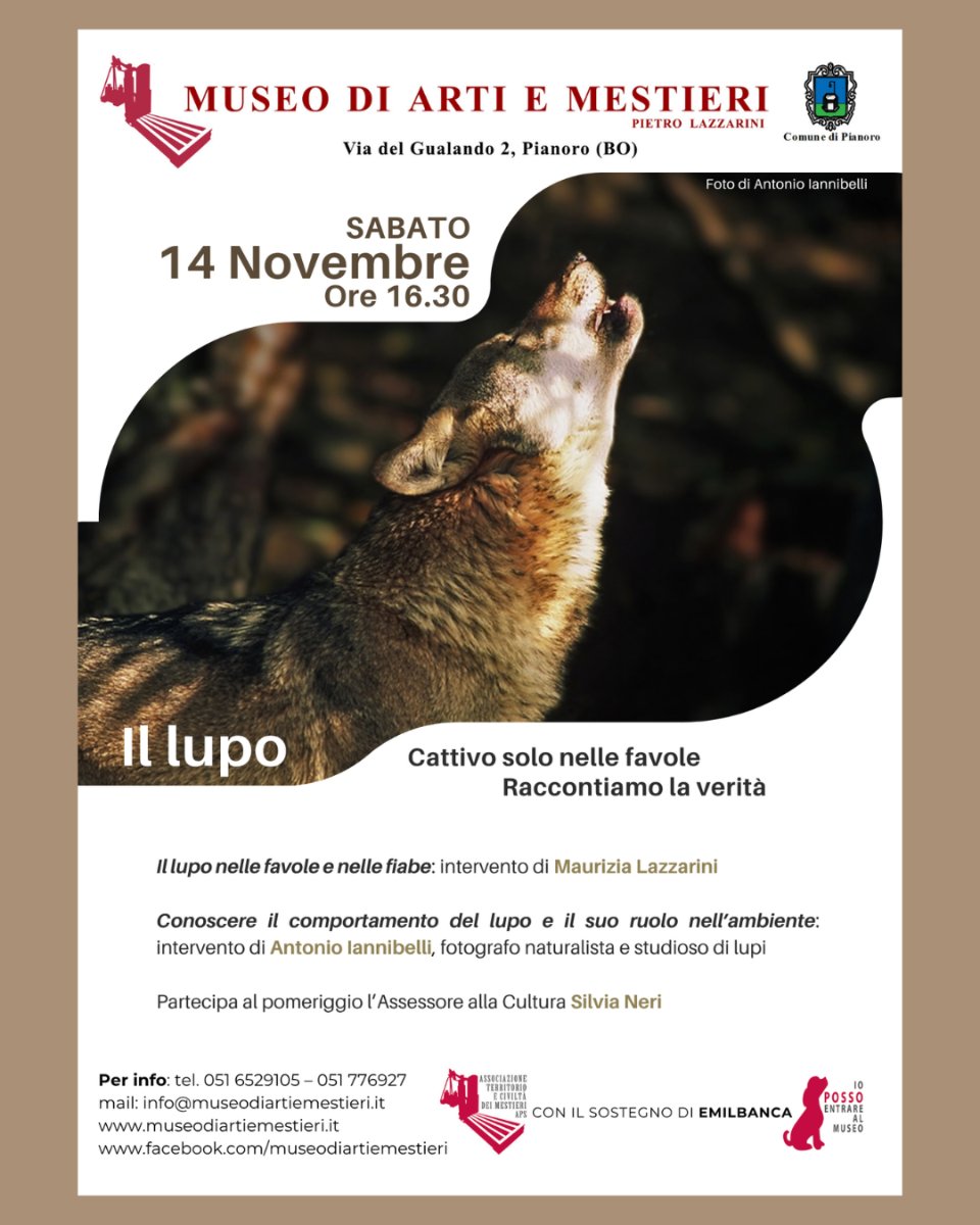 Locandina di Il lupo: cattivo solo nelle favole — raccontiamo la verità
