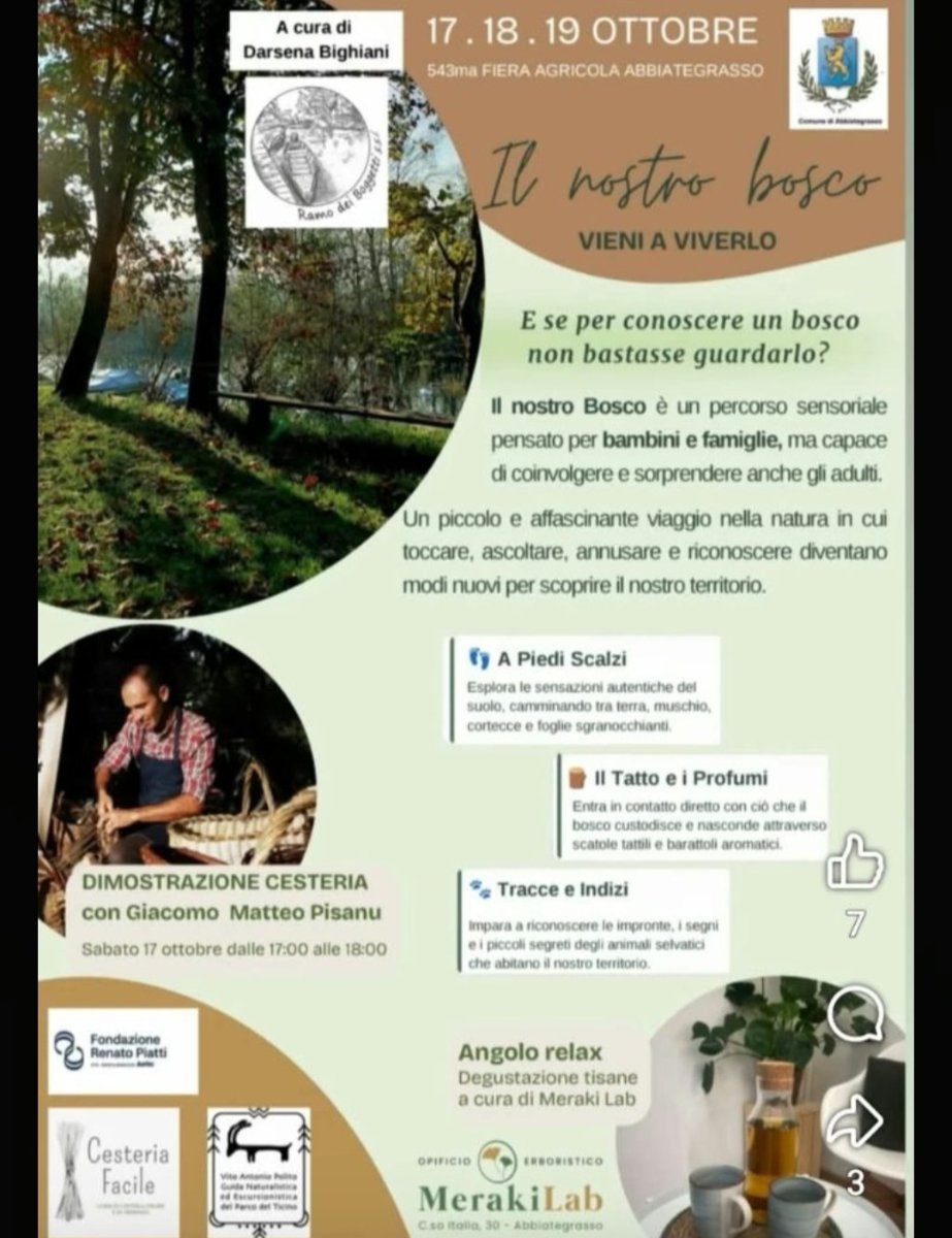 Locandina di Il nostro bosco