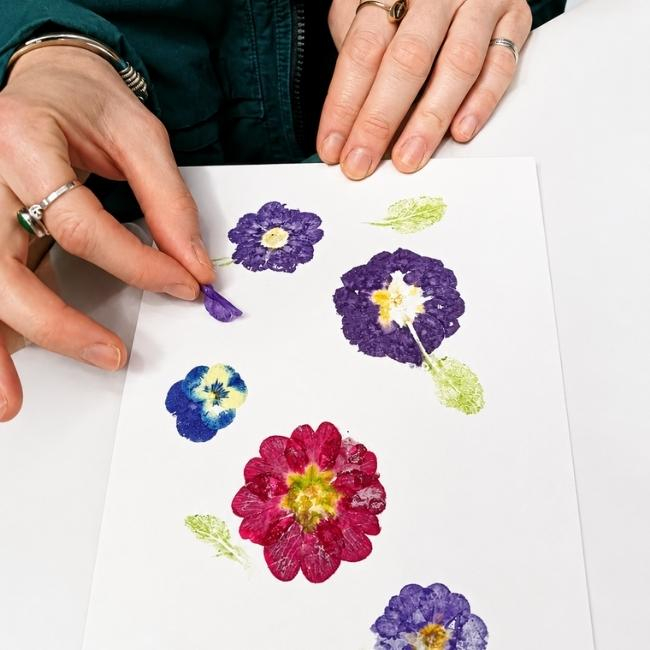 Locandina di Impressioni botaniche