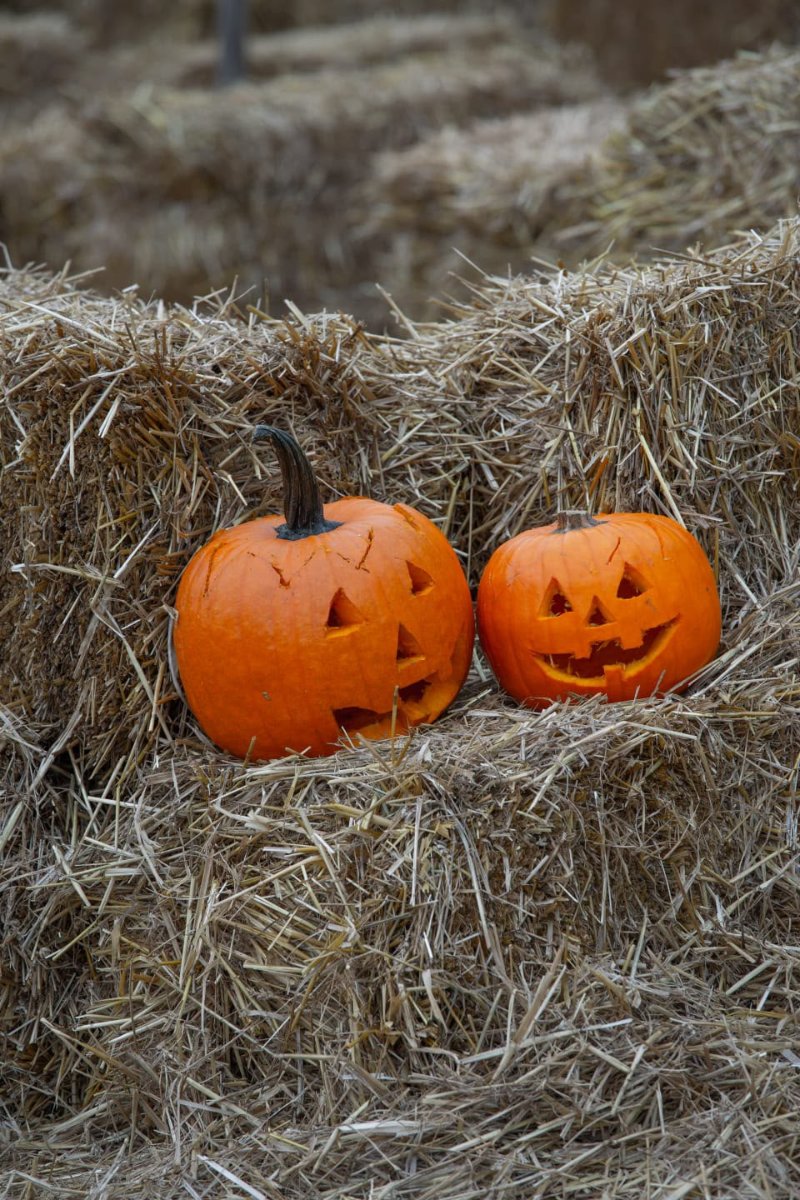 Locandina di Intaglio e pittura della zucca di Halloween