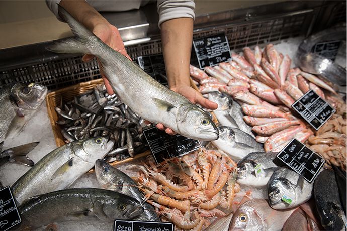 Locandina di L’asta del pesce a prezzi d’ingrosso