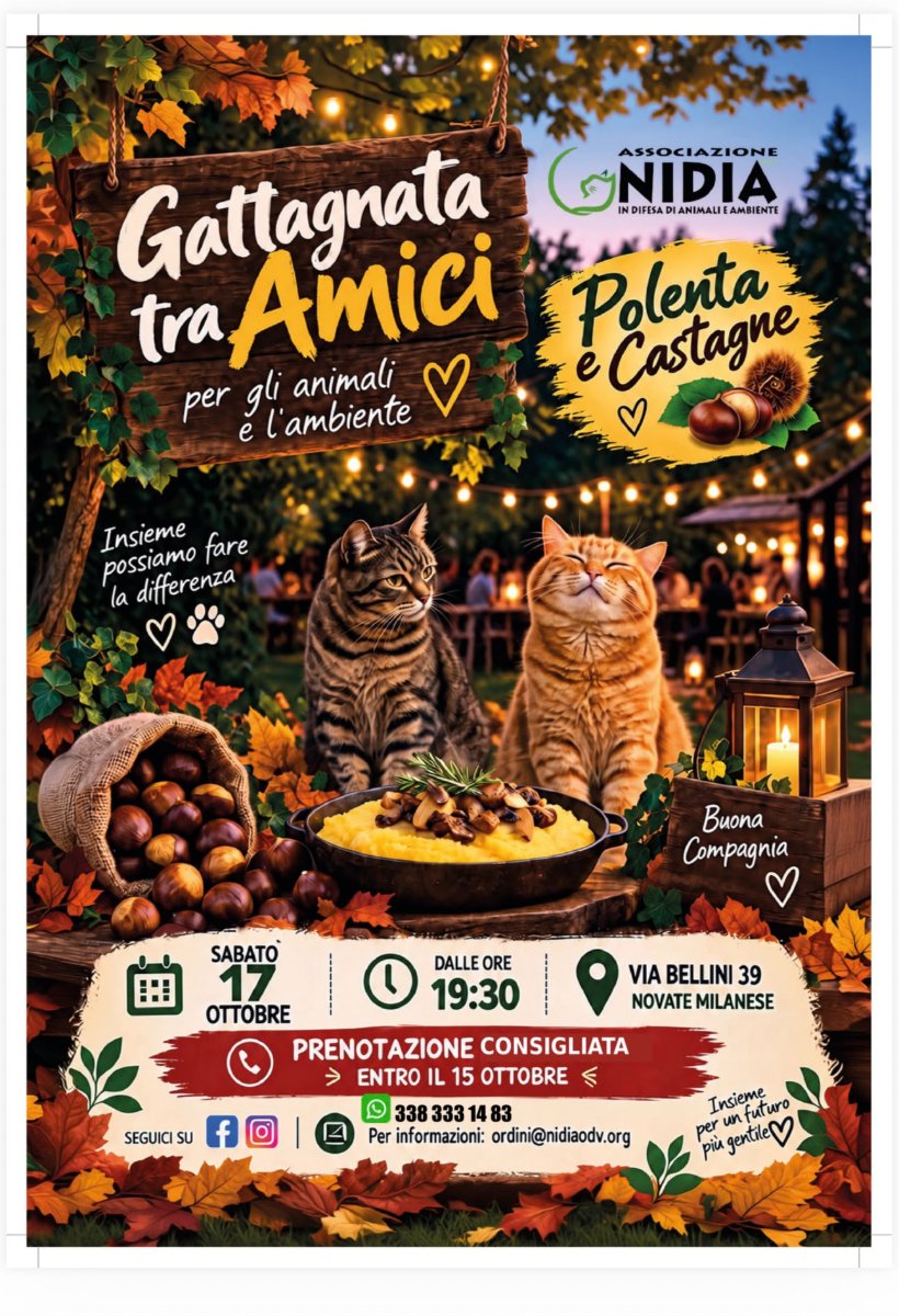 Locandina di LA GATTAGNATA NIDIA!!