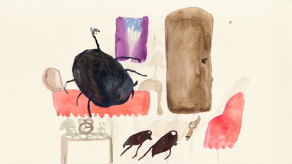 Locandina di La metamorfosi, il piccolo terrario