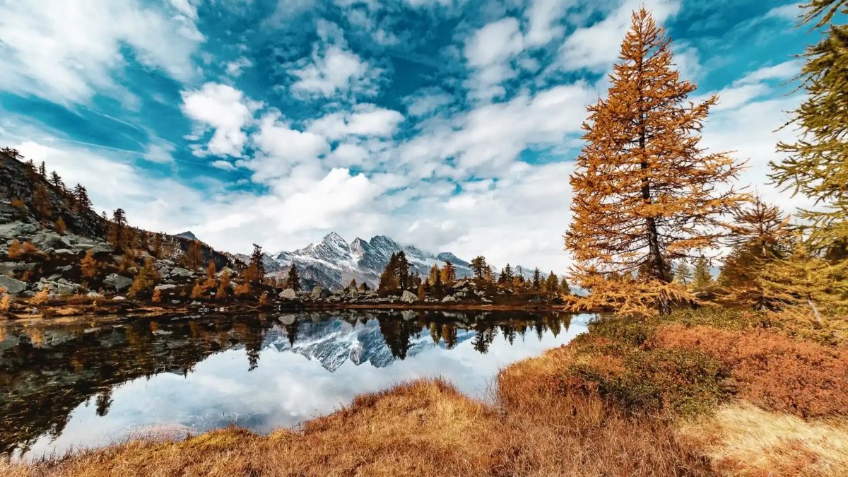 Locandina di Laghi Di Bellagarda | Autunno e Fogliage Nel Parco del Gran Paradiso [E]