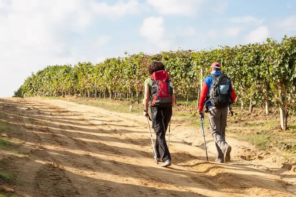 Locandina di Langhe - Trekking ed opzionale degustazione