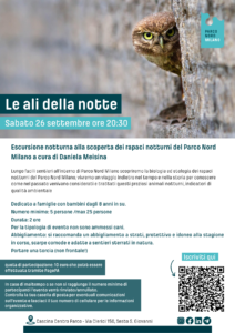 Locandina di Le Ali della Notte
