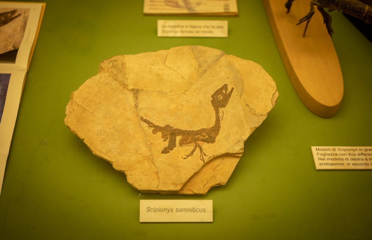 Locandina di Le avventure di BabyDino