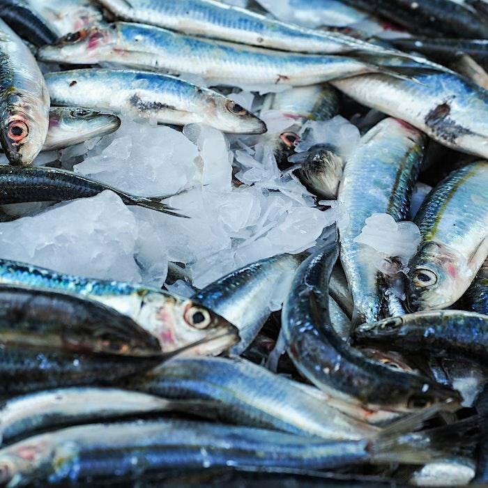 Locandina di LE MERAVIGLIE DEL PESCE: UN'ORA IN PESCHERIA