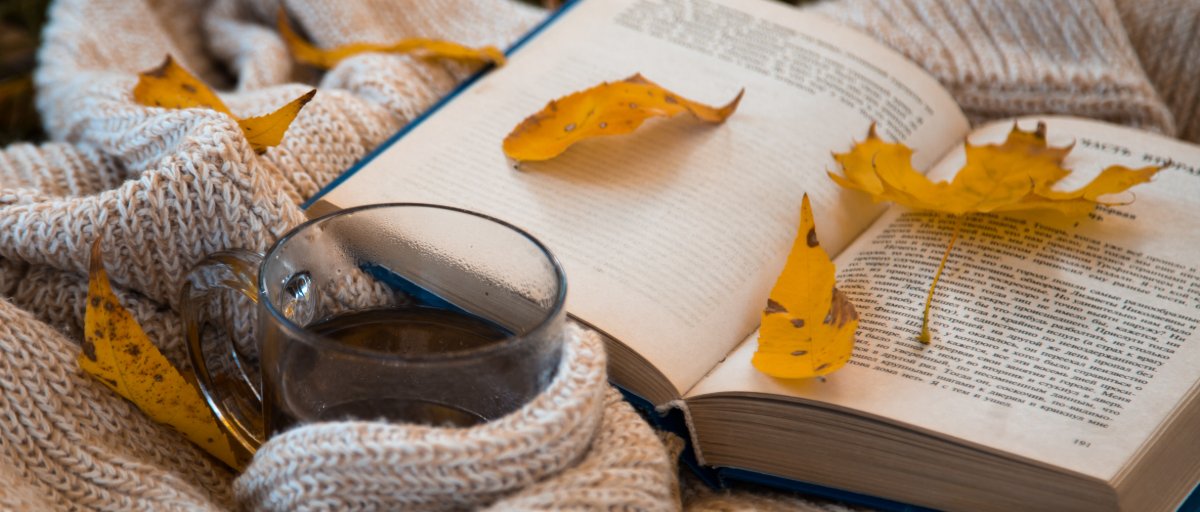 Locandina di Letture sotto la coperta