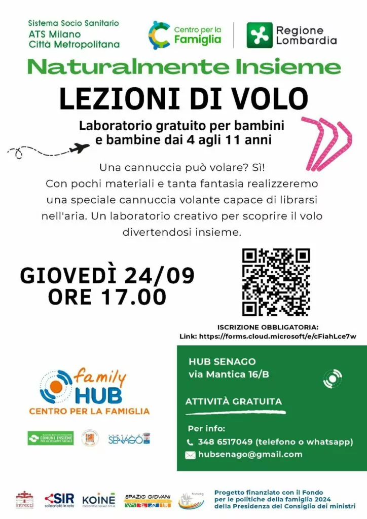 Locandina di Lezioni di Volo