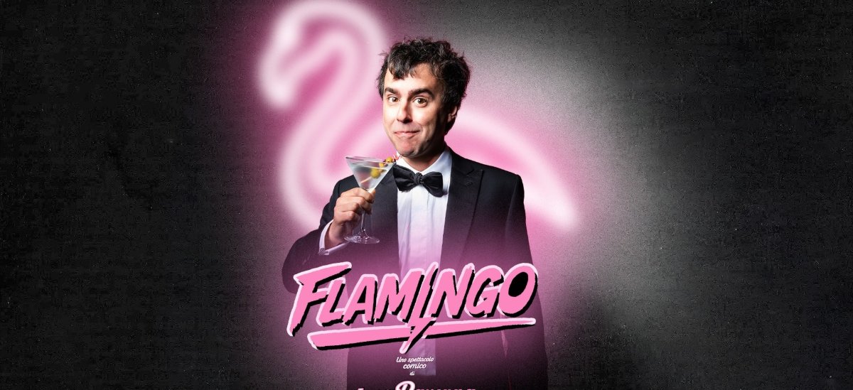 Locandina di Luca Ravenna - Flamingo