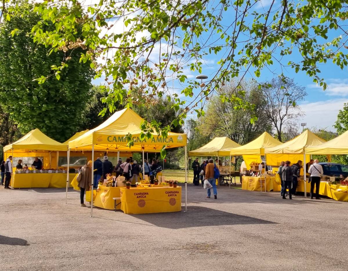 Locandina di Mercato Campagna Amica Centro Pavesi