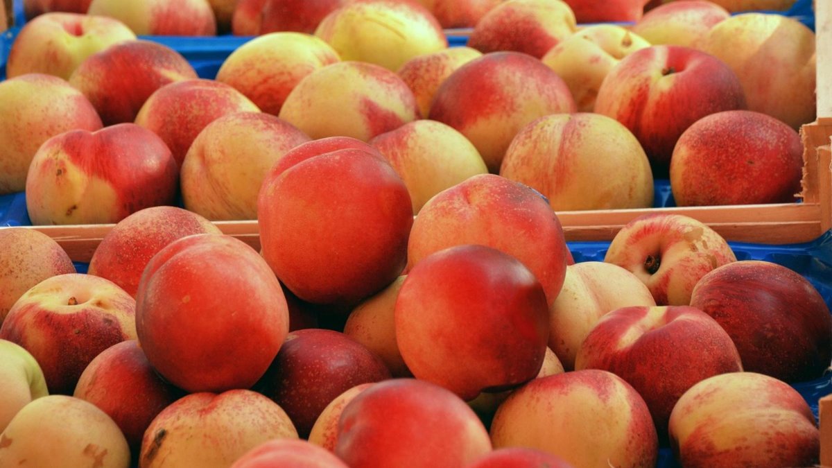 Locandina di Mercato Toti