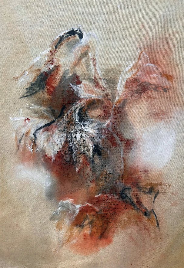 Locandina di Naturalis Variationes Ii