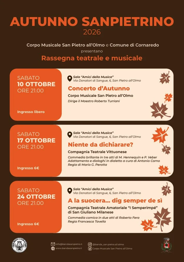 Locandina di Niente da dichiarare?